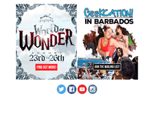 Tablet Screenshot of animekonexpo.com